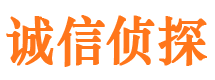 隆安市调查公司